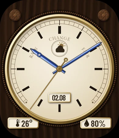 Aneroid Barometer