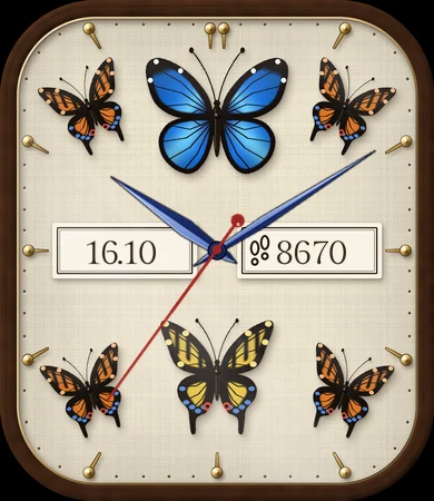 Butterfly Specimen Box
