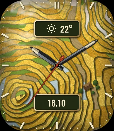 Rice Terrace Harvest