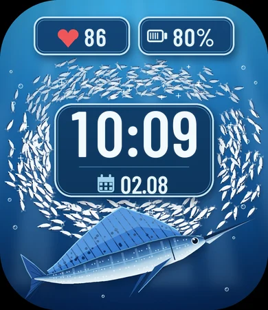 Sailfish Bait Ball Open Ocean